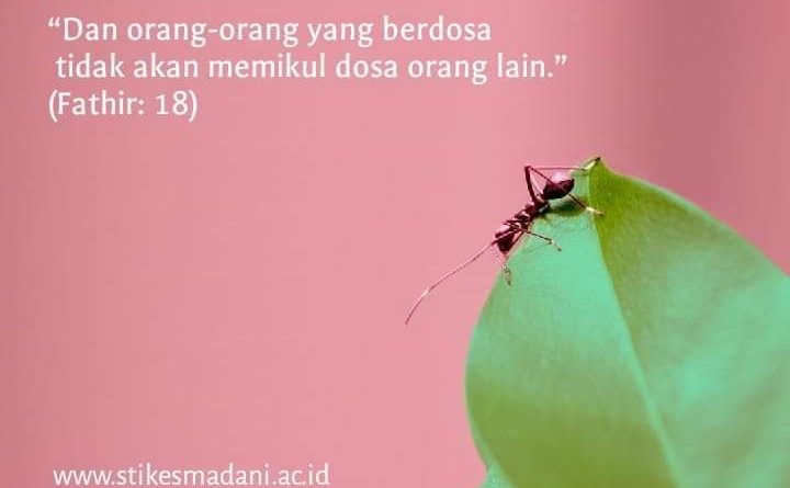 nabi dan sarang semut