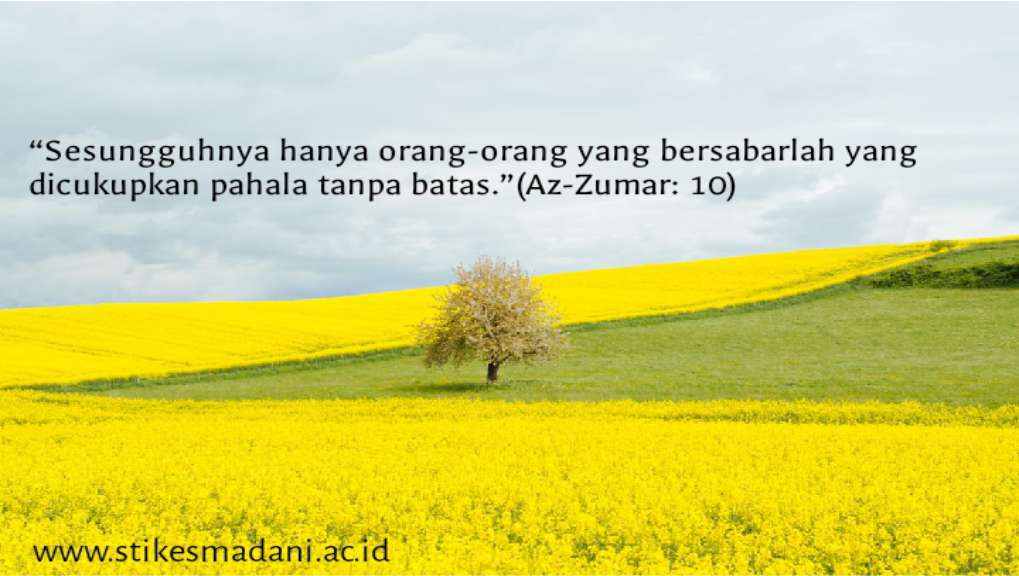 WANITA TUKANG SISIR ANAK PUTRI FIR’AUN