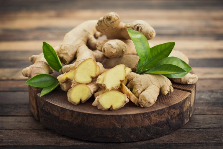 Jahe (Zingiber officinale Rosc.)